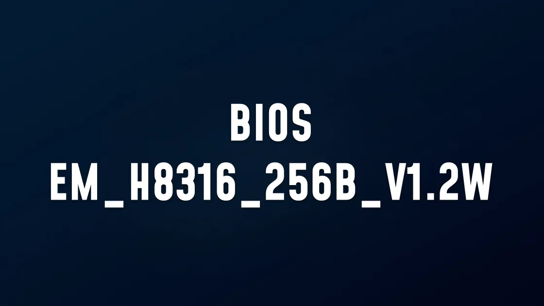 BIOS EM_H8316_256B_V1.2W